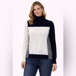 AMS PURE Collection Colorblock Turtleneck Sweater